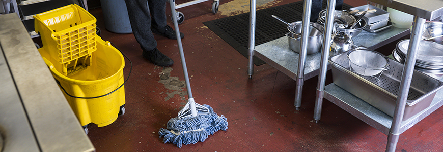Kitchen mop disinfectant